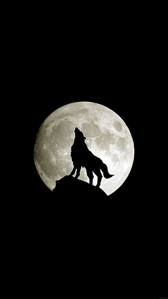 Wolf Howling at Full Moon iPhone Wallpaper - Serene Black Background