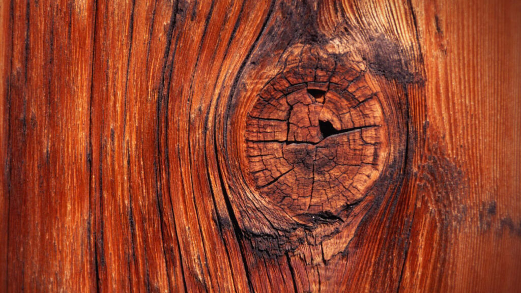 Intricate Wood Grain Wallpaper: Natural Patterns & Rich Textures