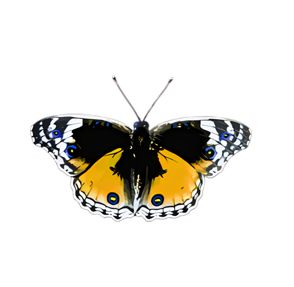 Vibrant Yellow Butterfly Wallpaper on Black Background – Captivating Art