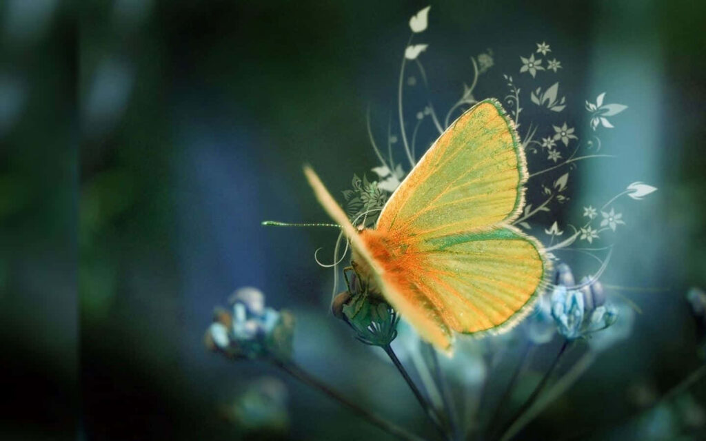 Stunning Yellow Butterfly on Flower - Mystical Wallpaper Background