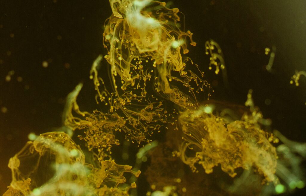 Striking Yellow Liquid Macro Wallpaper: Abstract Art Background