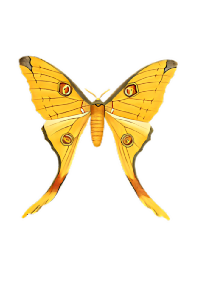 Vibrant Yellow Swallowtail Butterfly Illustration - Elegant Wallpaper