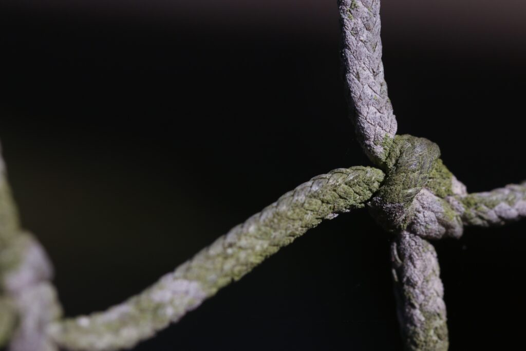 Textured Rope Knot with Moss - Nature's Wallpaper Background