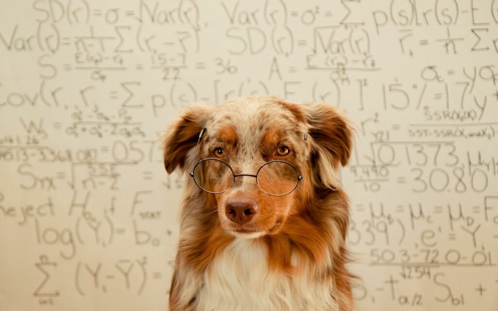 Scholarly Dog in Glasses Poses Amidst Math Equations Background Wallpaper