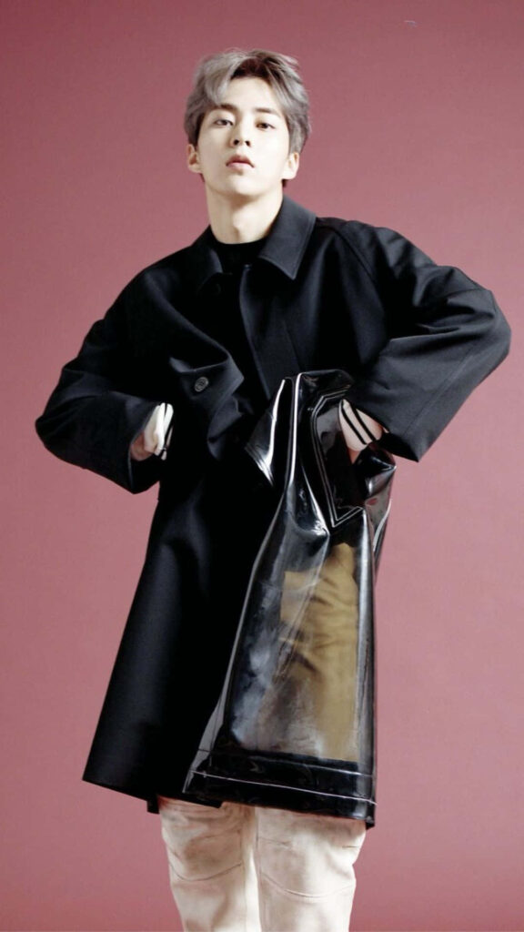 Stylish EXO Member Wallpaper: Fashionable Pose on Minimalistic Background