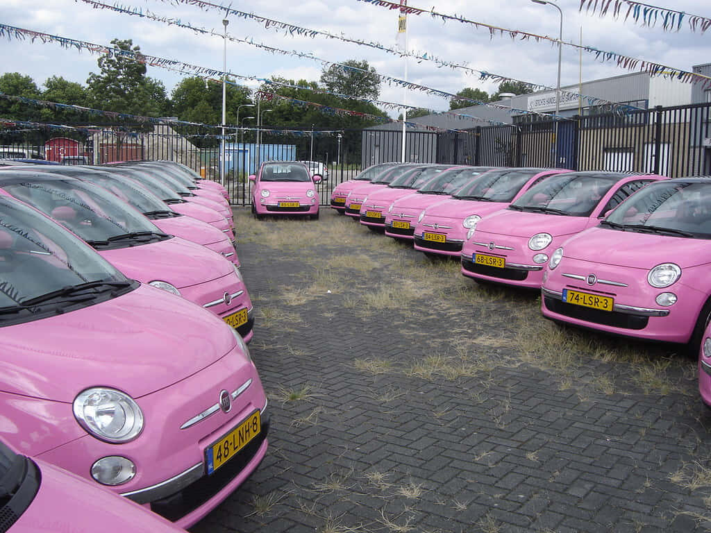 Vibrant Pink Fiat Cars Wallpaper: Stylish and Cheerful Background