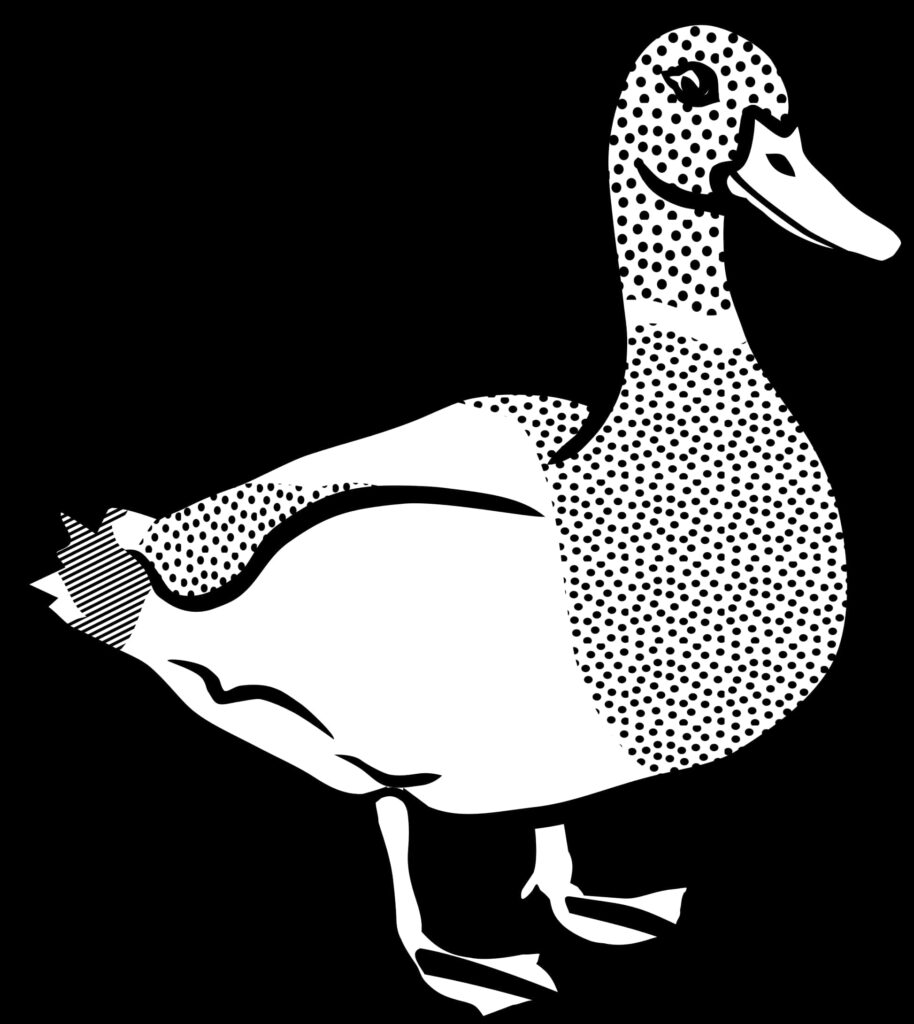 Stylized Black & White Duck Wallpaper: Unique Artistic Background