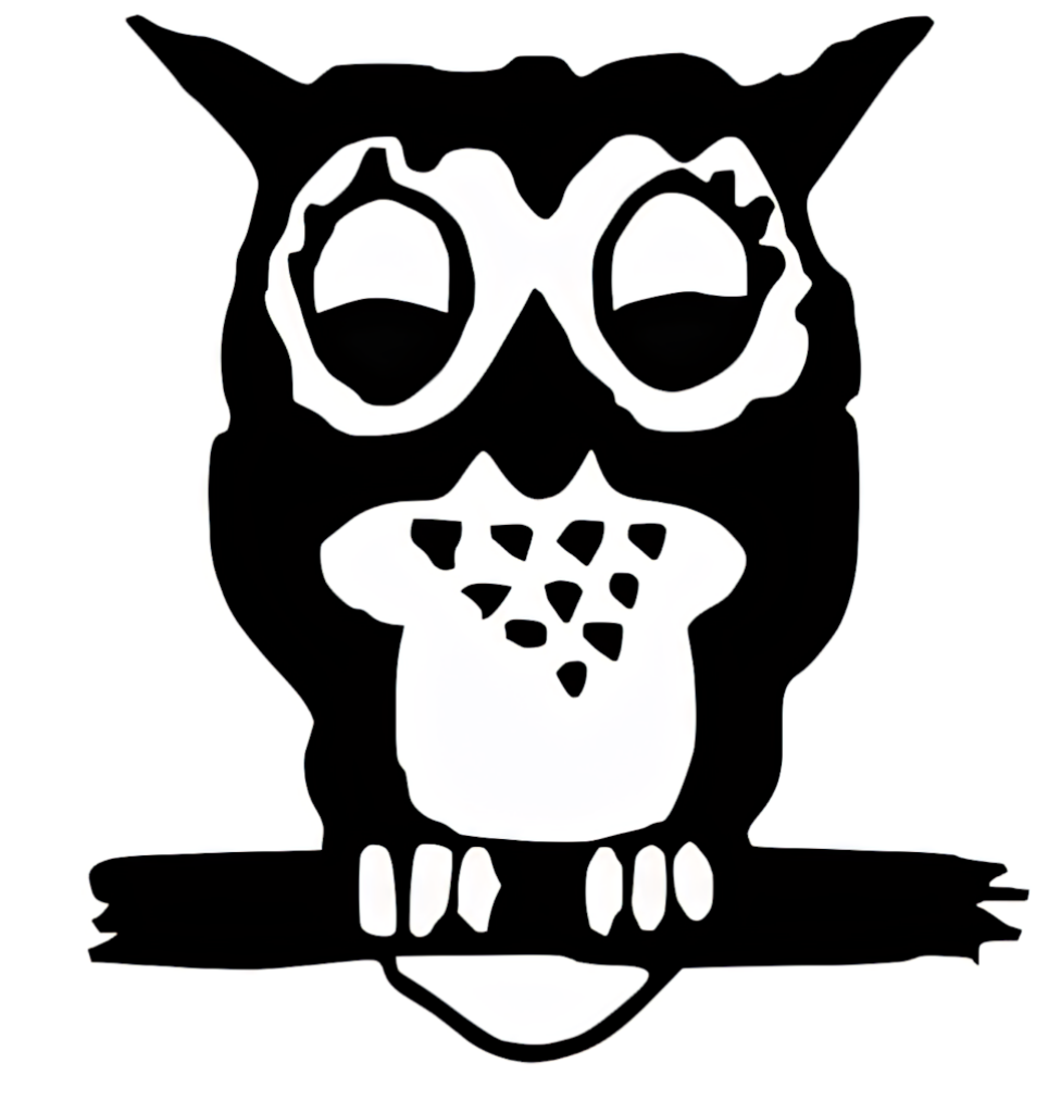 Stylized Black and White Owl Wallpaper - Bold Design PNG Background