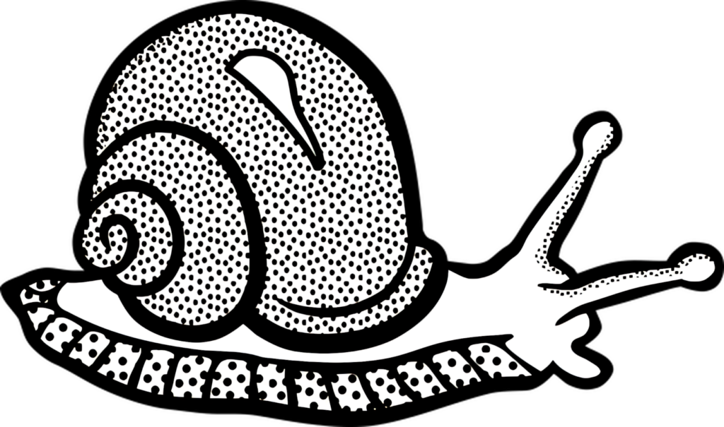 Stylized Black and White Snail Wallpaper with Intricate Patterns