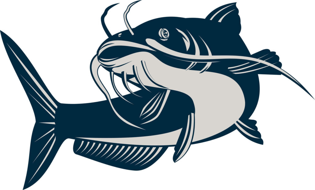 Stylized Catfish Wallpaper: Bold Digital Art with Graceful Design
