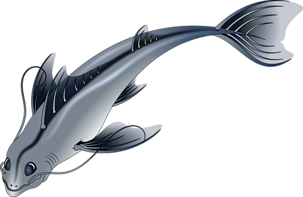 Stylized Catfish Wallpaper: Sleek Design with Cool Colors