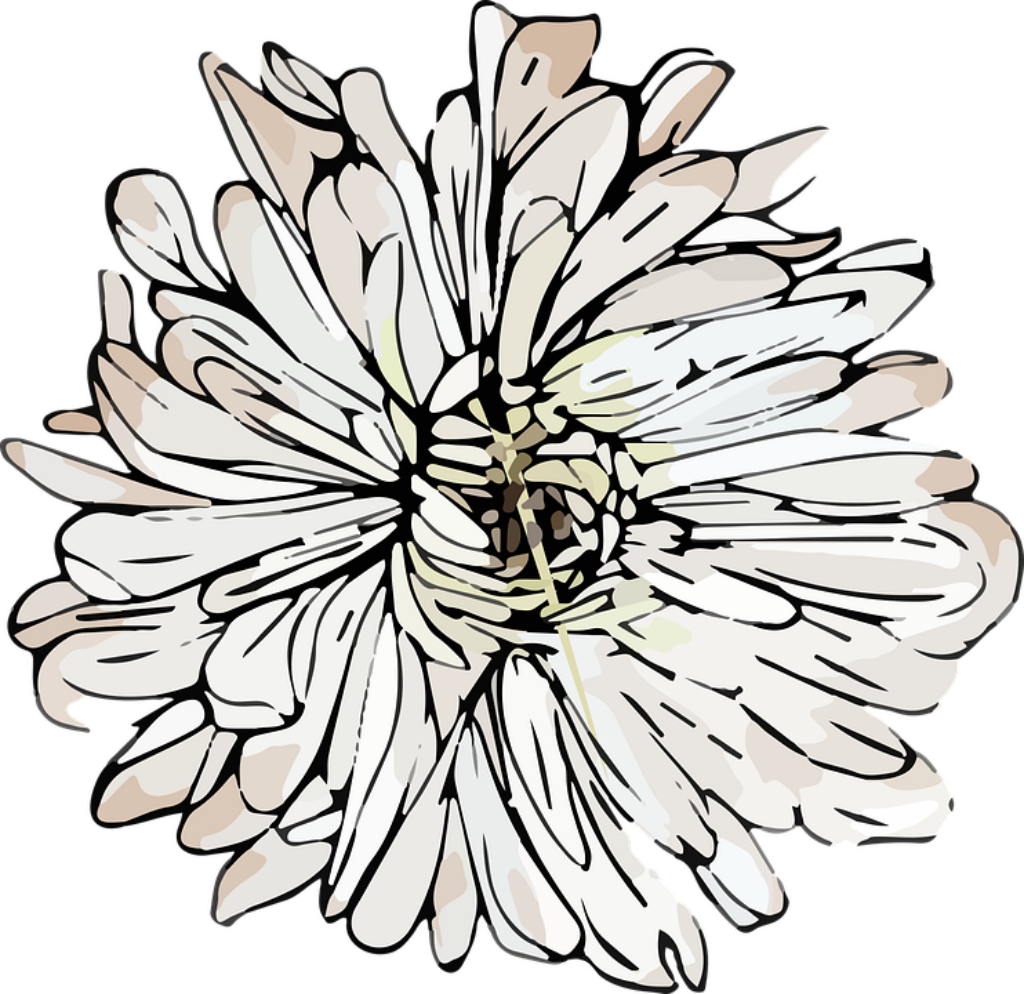 Stylized Chrysanthemum Wallpaper: Hand-Drawn Design in Neutral Tones