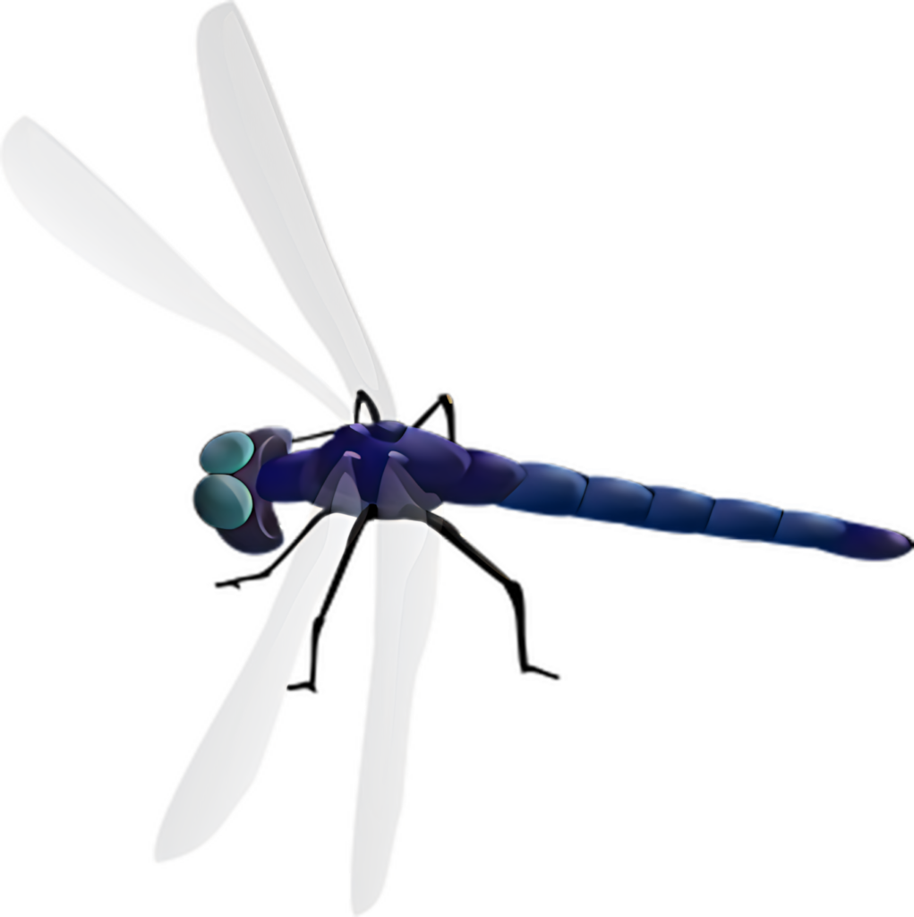 Elegant Dragonfly Wallpaper: Vibrant Blue Minimalist PNG Background