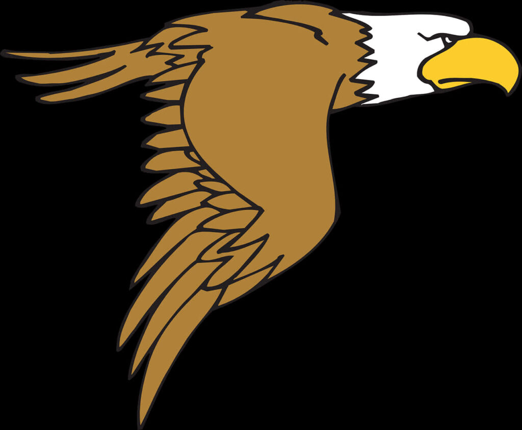 Stylized Eagle Head Wallpaper: Intricate Line Work & Bold Colors