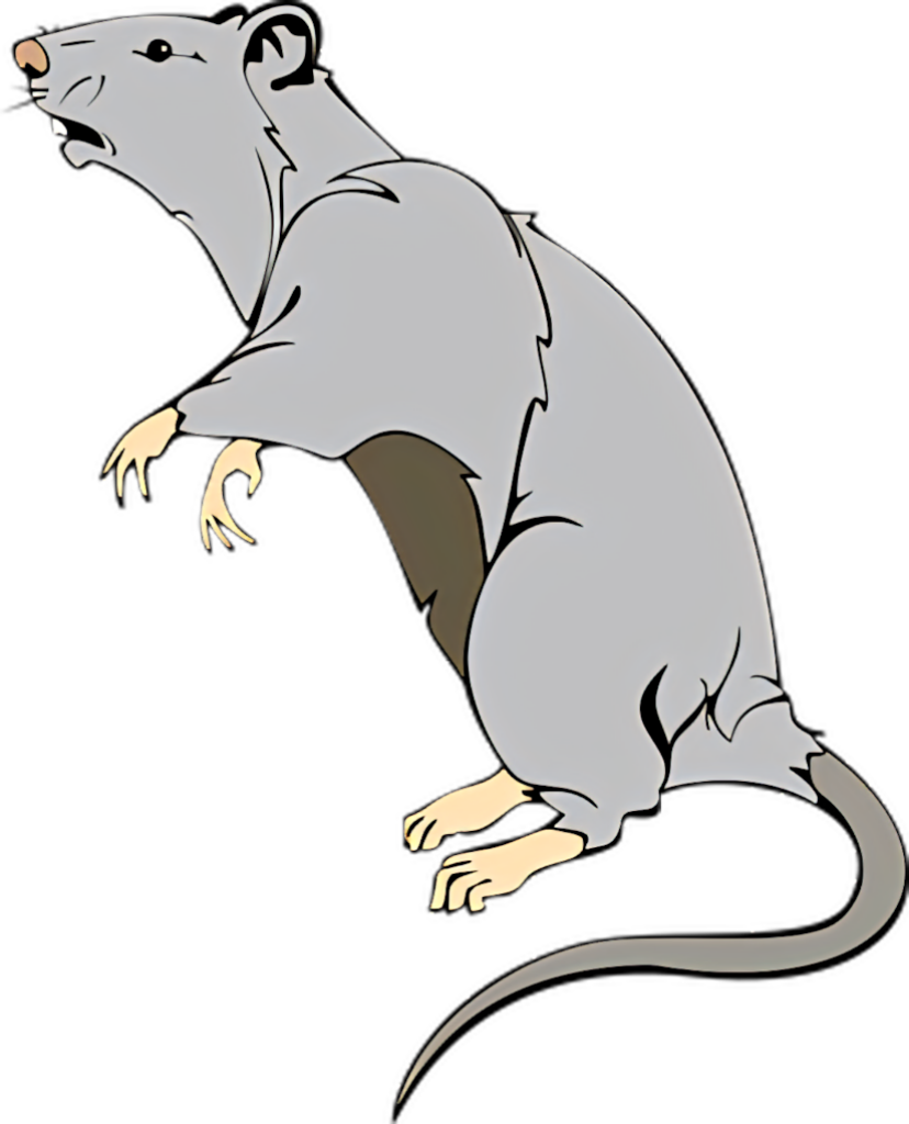 Artistic Grey Rat Wallpaper: Stylish Illustration & Curious Expression