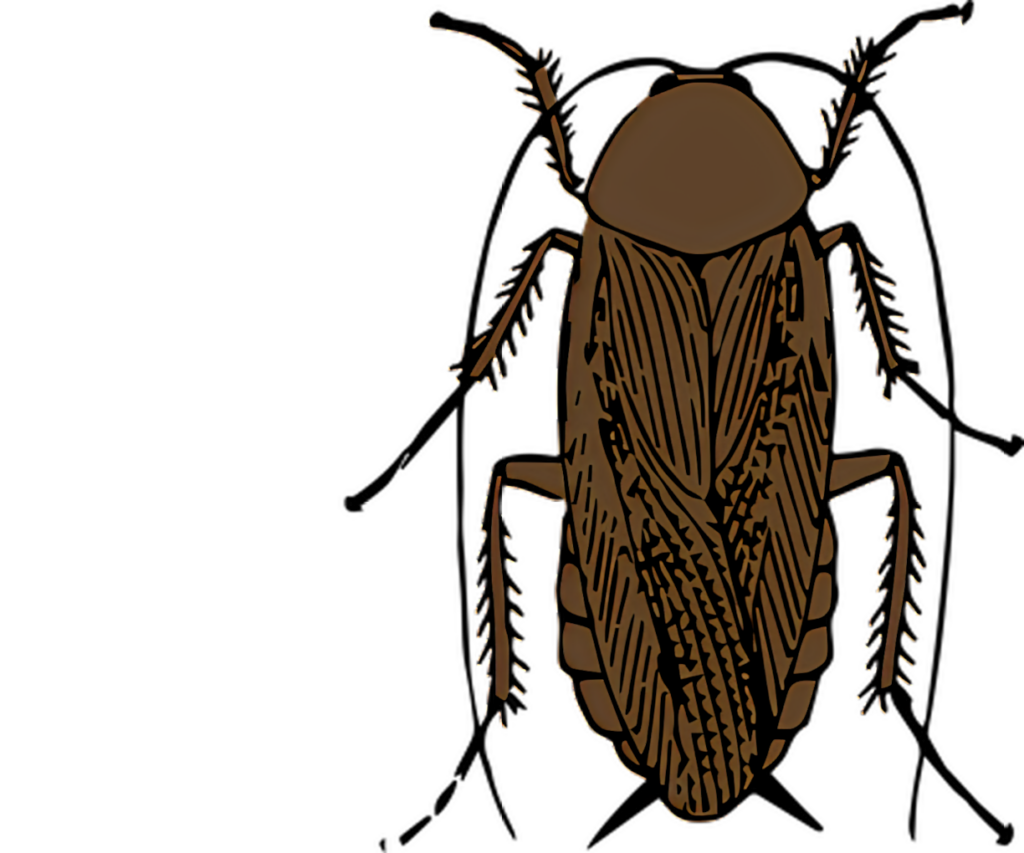 Stylized Insect Wallpaper: Detailed Linework & Earthy Tones