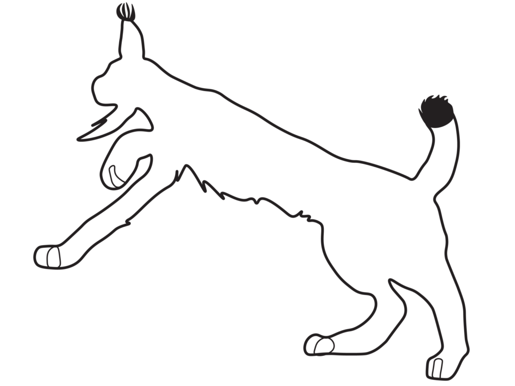 Minimalist Lynx Line Art Wallpaper: Sleek Design & Graceful Silhouette