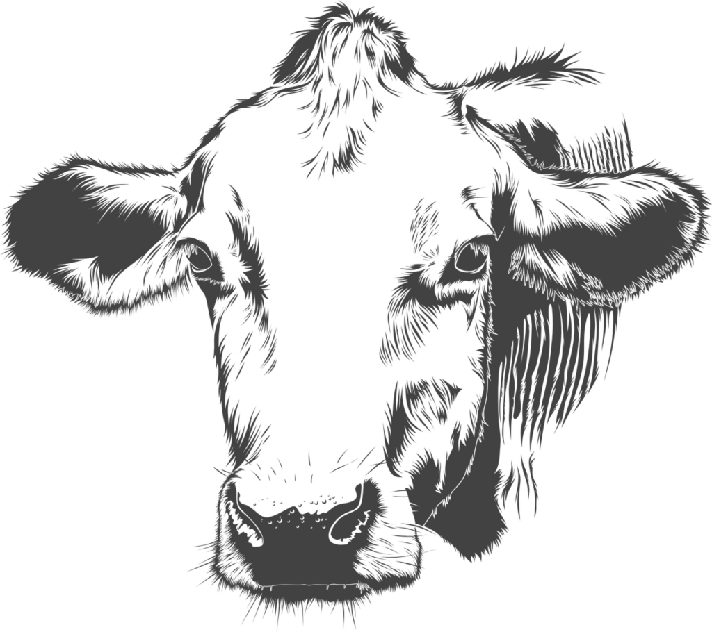 Stylized Vector Cow Portrait Wallpaper: Modern Minimalist Design
