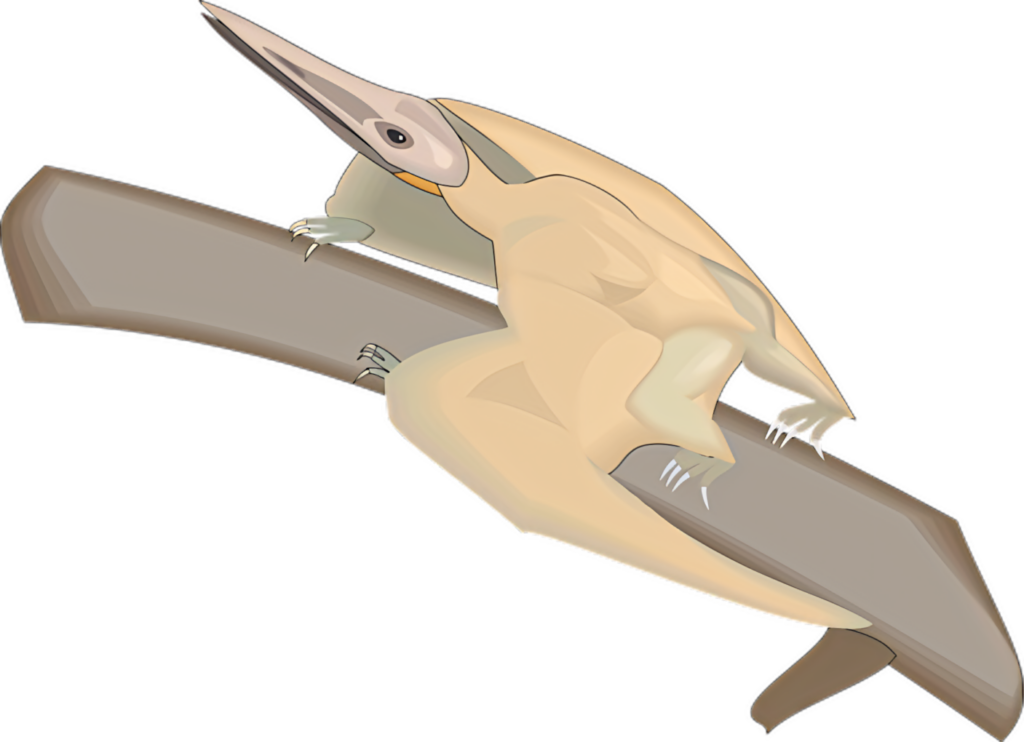 Cartoon Pterosaur Wallpaper: Majestic Prehistoric Design on Branch