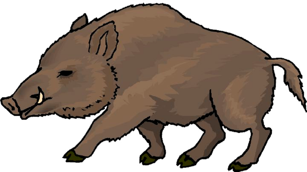 Stylized Wild Boar Illustration with Transparent Background Wallpaper
