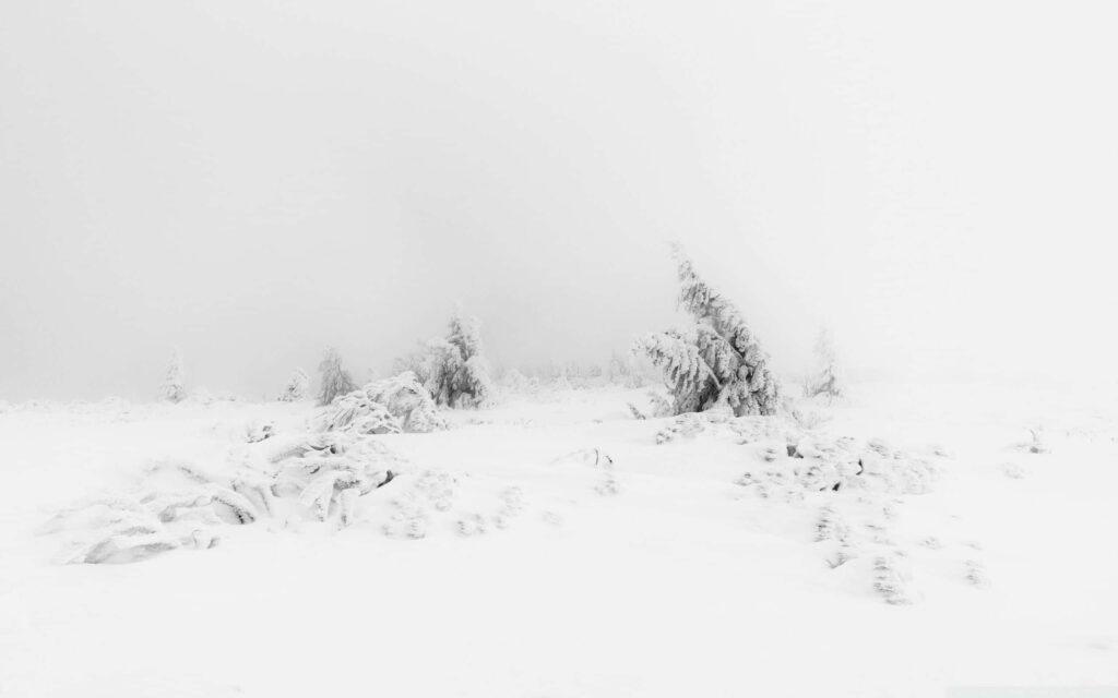 Softly Blanketed Mountain Peaks: A Heavenly Black and White Wallpaper in 2560 X 1600 Resolution