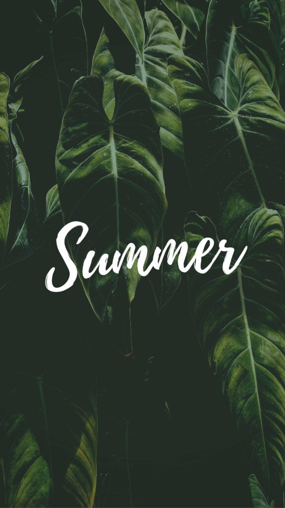 Summer Bliss: Nature's Textual Tapestry in HD Phone Wallpaper