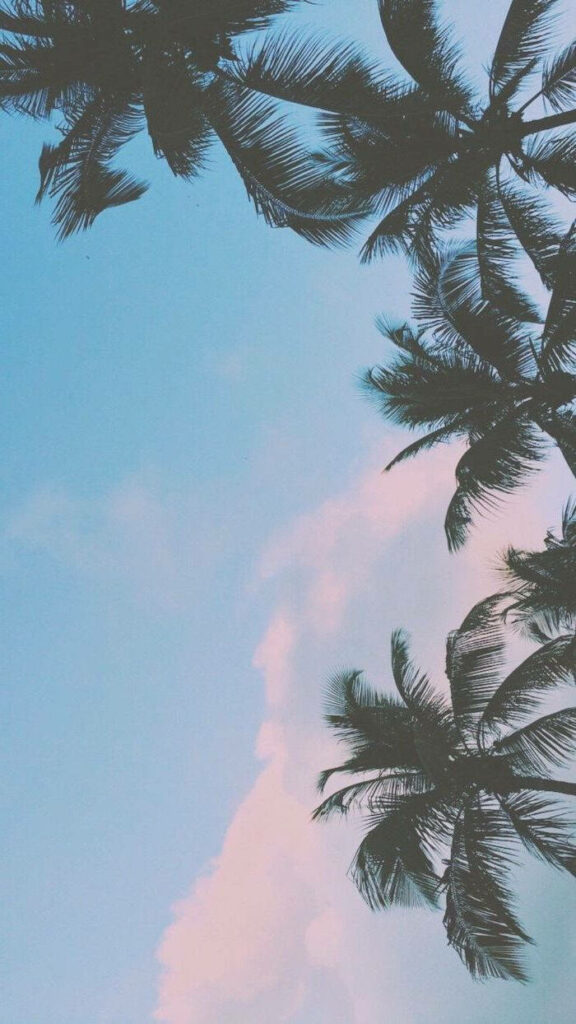 Paradise Bliss: Mesmerizing Palm Trees Craft a Breathtaking Canvas Amidst Pink and Blue Skies Wallpaper