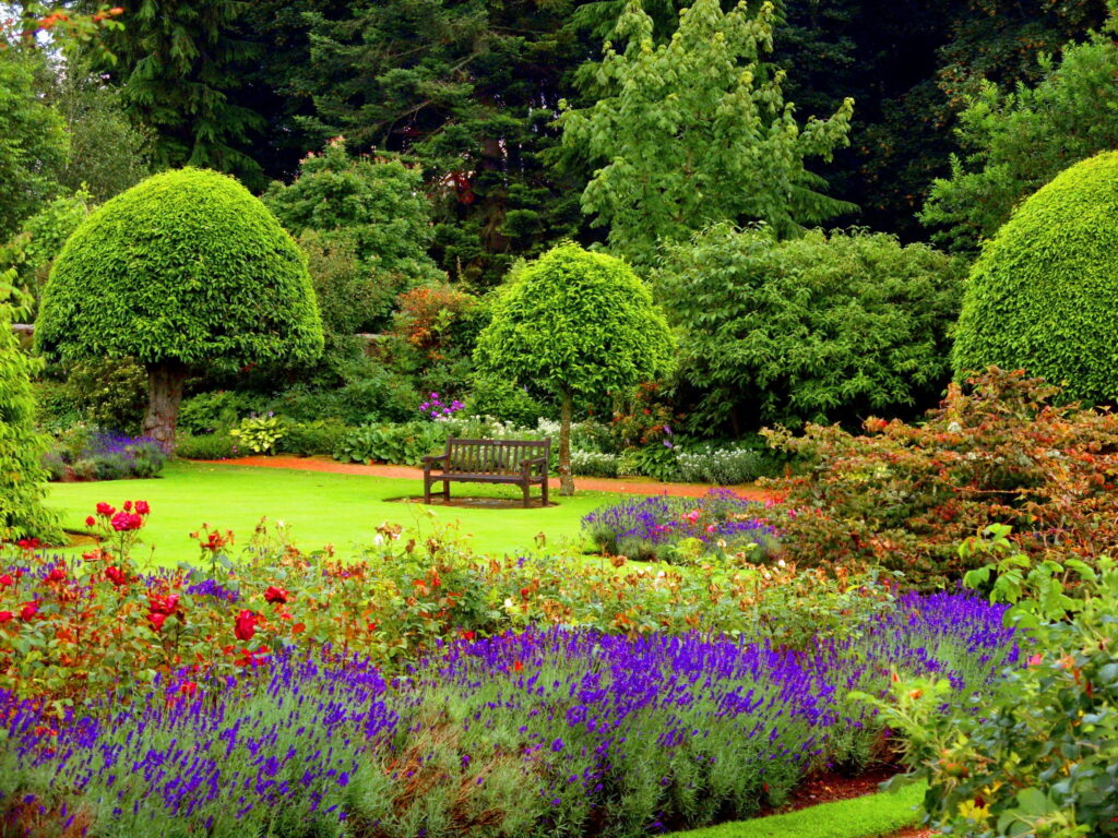 Serene Summer Retreat: A Verdant Garden Oasis with Rustic Bench Amidst Lush Greenery Wallpaper