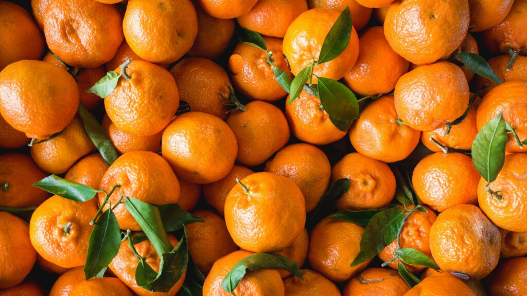 Sumo Orange: A Captivating Close-up of Vibrant Satsuma Mandarin with Unique Bumpy Skin—Perfect as a Satsuma Background Photo! Wallpaper