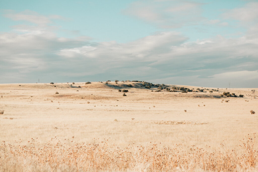 Sun-bleached drought-stricken field with golden grass under wide blue sky wallpaper background