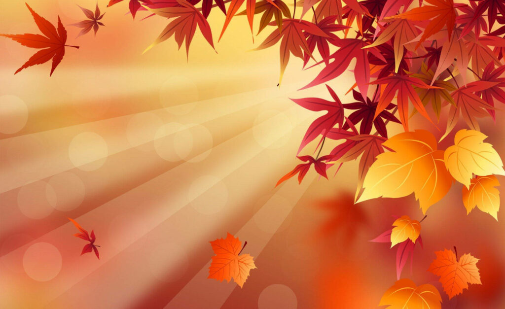 Sunlit red and golden maple leaves with warm autumn glow and soft bokeh background Wallpaper