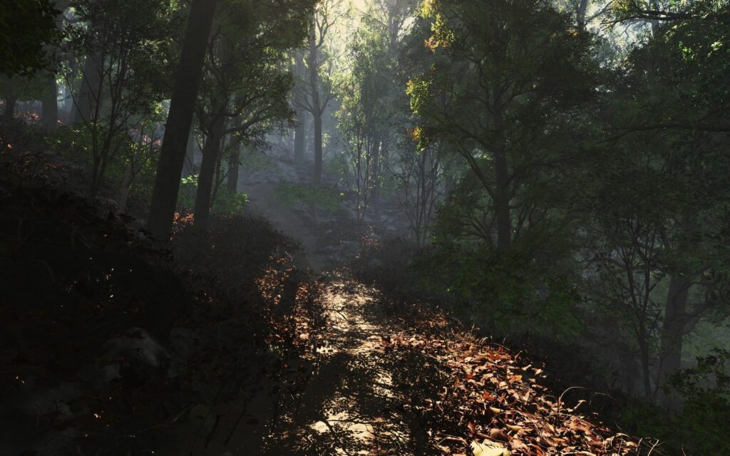 Sunlit forest footpath with fallen leaves under tall lush trees peaceful nature trail background Wallpaper