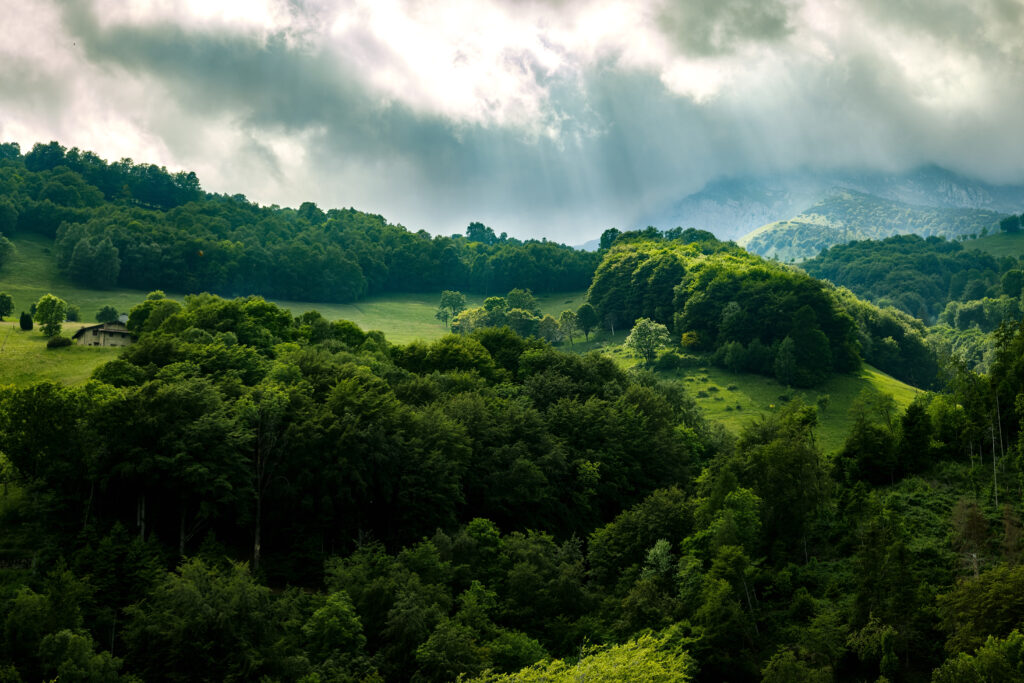Sunbeams streaming through clouds over lush green forest rolling hills dense trees vibrant sky Wallpaper