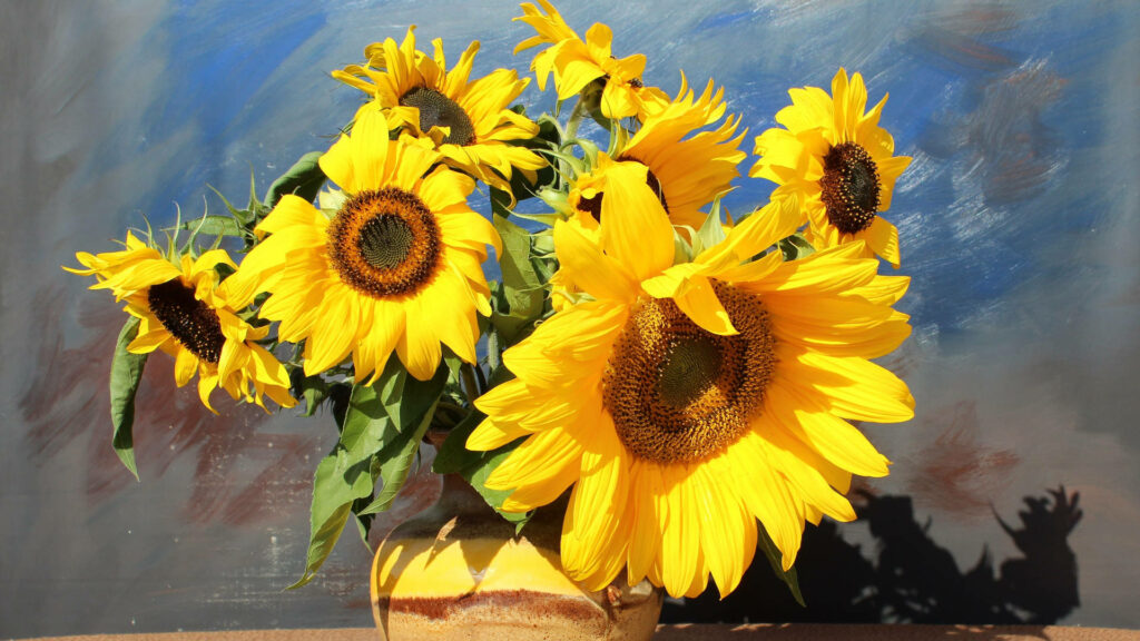 Sunflower Splendor: Laptop Wallpaper Handcrafted with Nature's Sun-Kissed Charm
