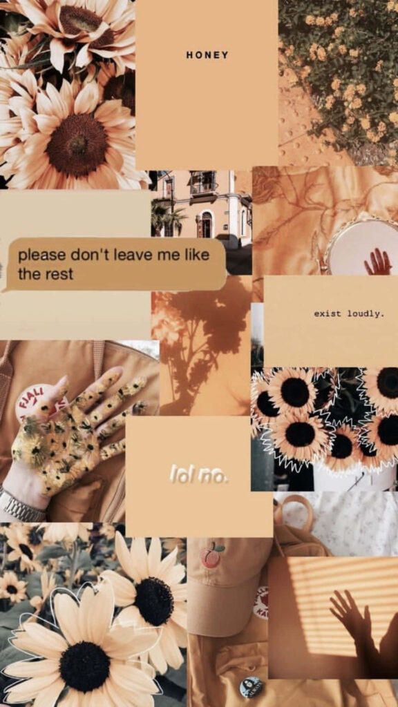 Serene Splendor: Immersive Brown Pastels Reveal Sunflowers, Architecture, Shadows, Fashion, and Inspirational Phrases Wallpaper