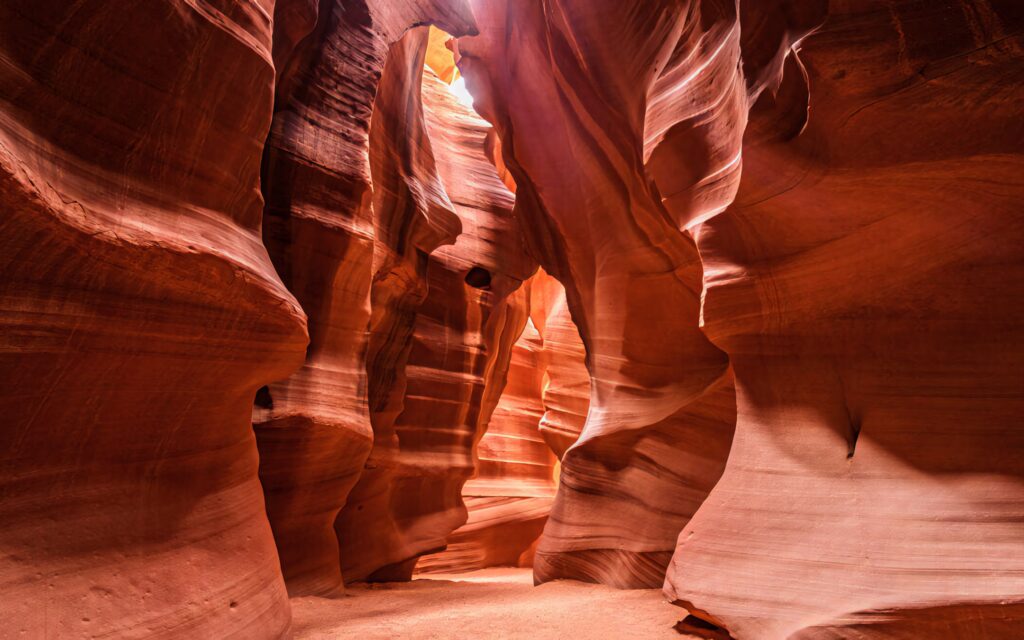 Sunlight illuminates winding orange-red sandstone walls inside Antelope Canyon narrow passageways Wallpaper