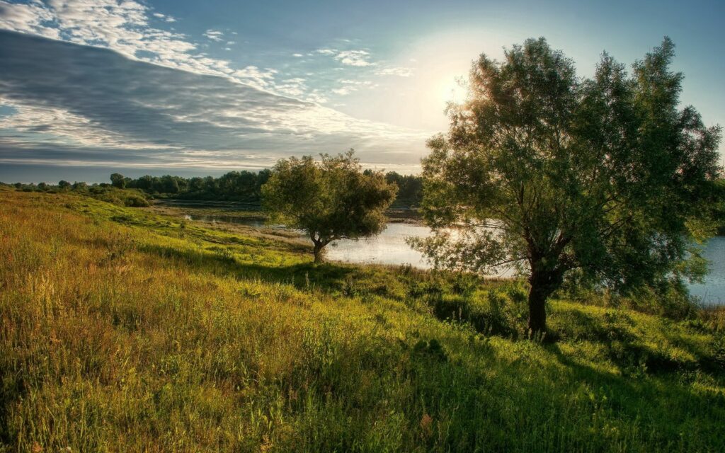 Sunlight through clouds over lush glade and trees by tranquil lake under blue sky scenery wallpaper