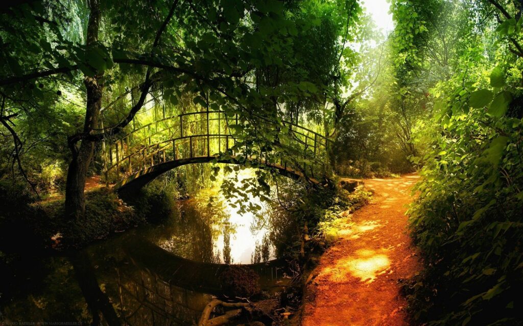 Sunlight shines through green trees over river with arched bridge and winding path in park wallpaper