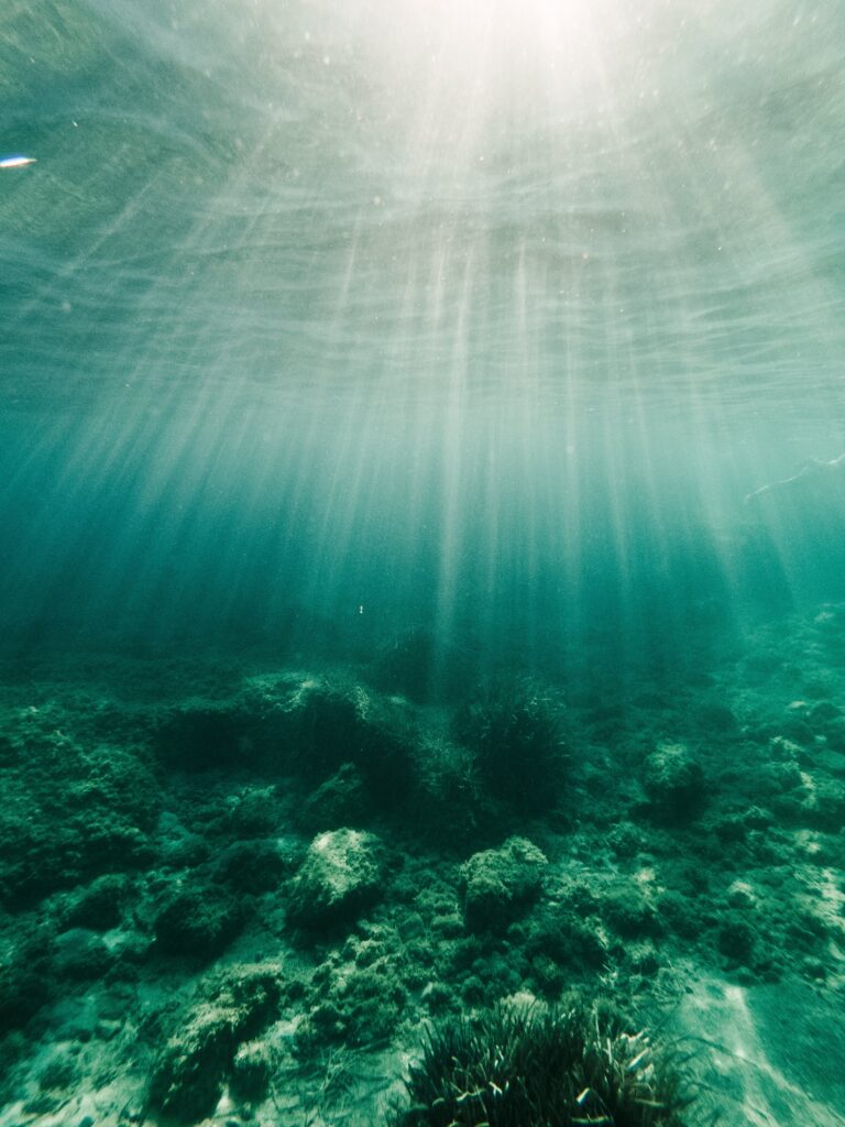 Sunlight filtering through clear turquoise water revealing algae covered rocky ocean floor peaceful underwater scene Wallpaper