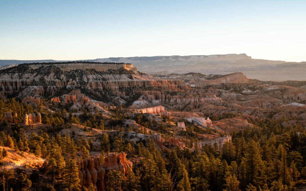 Vast canyon landscape with sunlit cliffs lush green trees and dramatic rock formations wallpaper