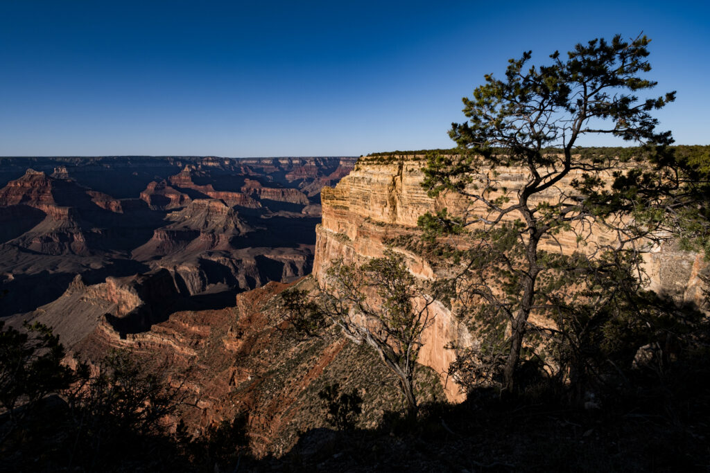 Sunlit canyon landscape with dramatic rock formations trees and blue sky wallpaper background