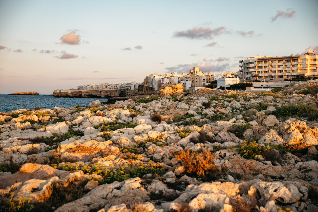 Coastal cityscape wallpaper with rugged stones wild greenery and charming seaside buildings in sunlight