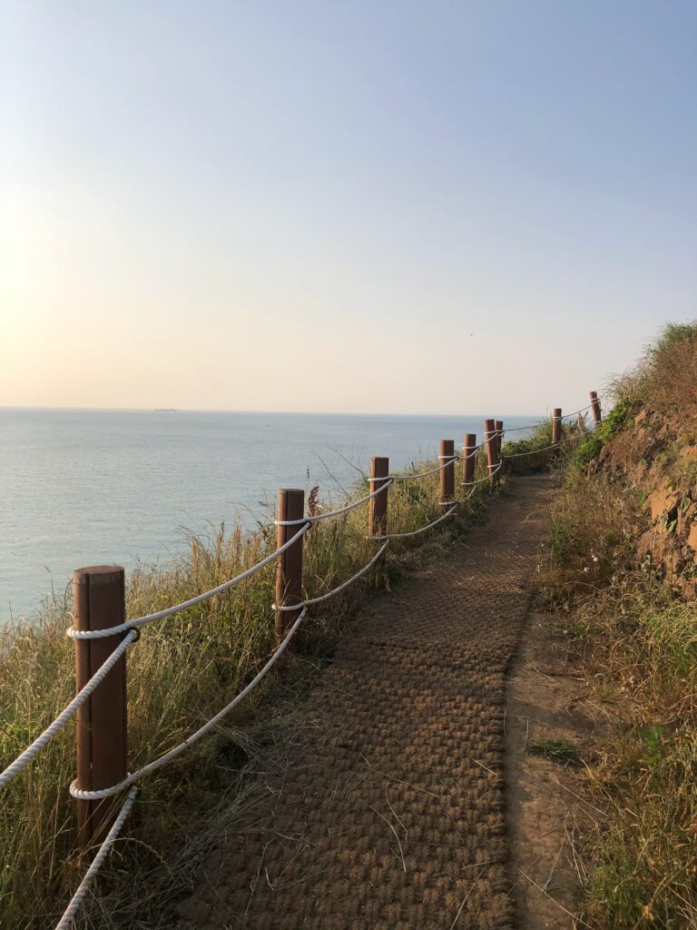Sunlit coastal dirt path with rope fence beside grassy cliffs and calm ocean under blue sky wallpaper