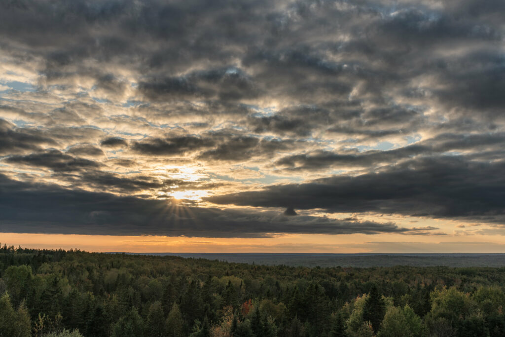 Dense forest landscape under dramatic sky with sunlight rays breaking through clouds wallpaper