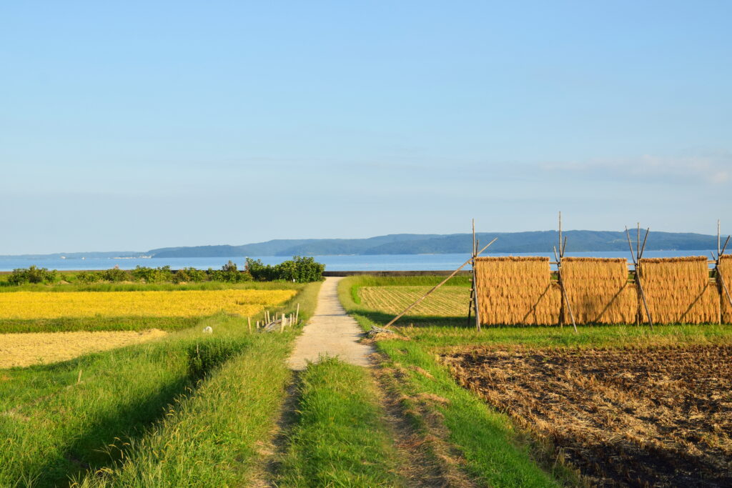 Sunlit field with path lush grass golden crops rustic thatched hut distant mountains clear sky wallpaper