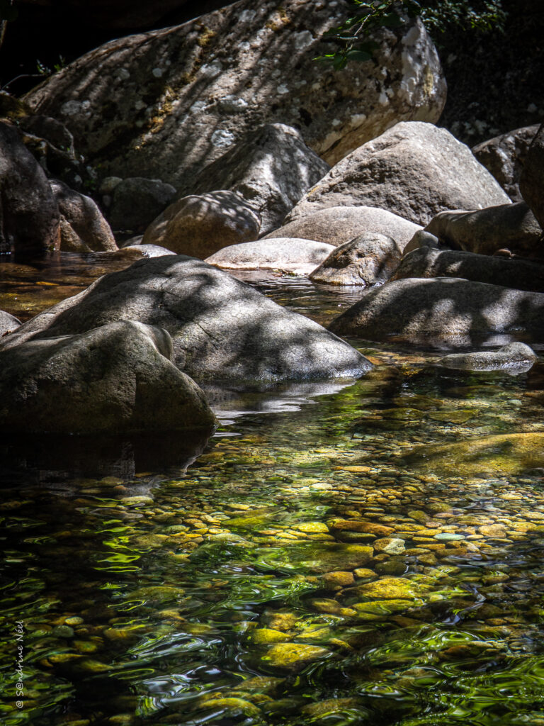 Sunlight through trees on shallow stream with colorful stones and gentle water reflections Wallpaper