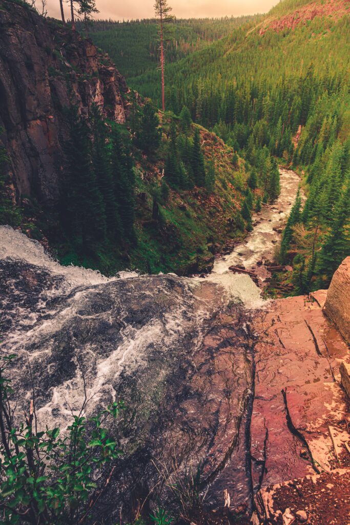 Cascading river over rocks in dense forest with sunlight highlighting lush green trees wallpaper