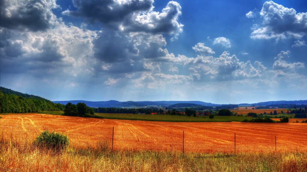 Sunlit fenced field with golden crops under dramatic cloudy sky vibrant nature wallpaper background