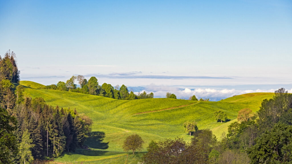 Sunlit green field with hills trees quaint hut winding path under clear blue sky wallpaper background