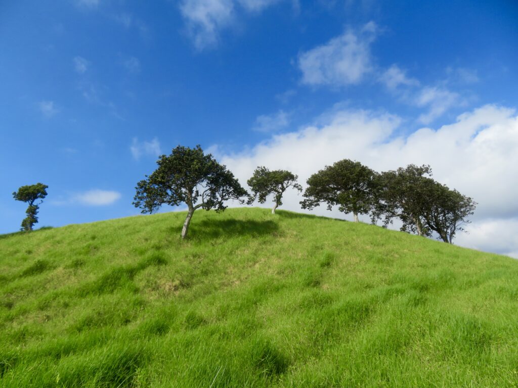 Peaceful green hill with scattered trees under bright blue sky nature wallpaper background